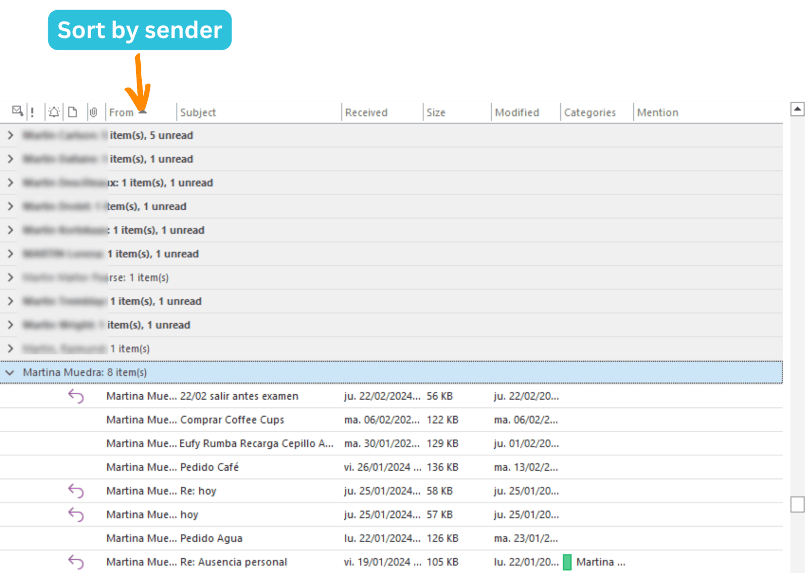 Screenshot of LeanMail's Overflow folder management system.